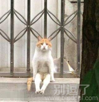 我只想静静，别问我静静是谁