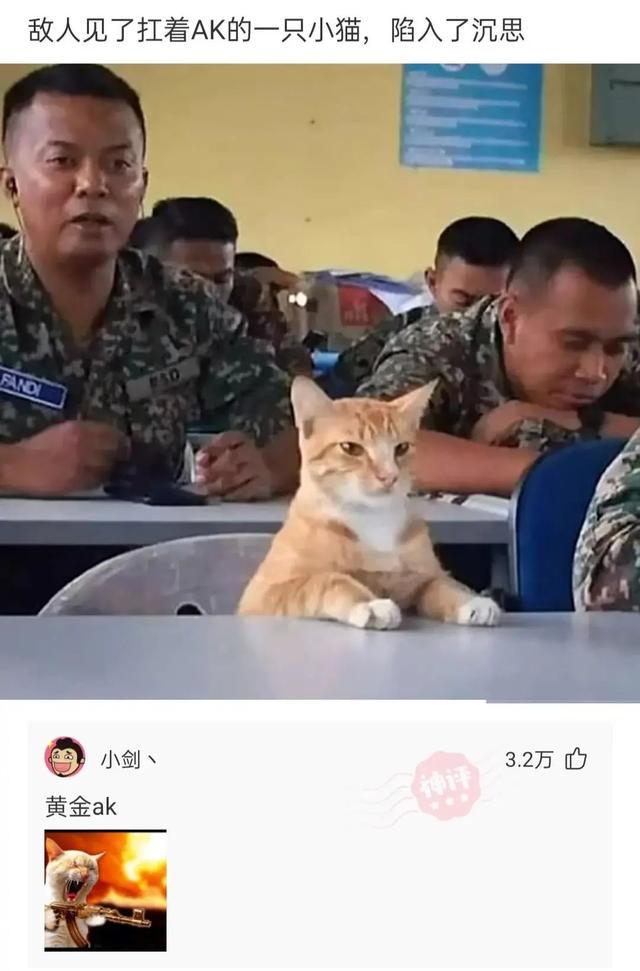 神回复:第一次带表妹来游泳,需要注意什么 神回复:第一次带表妹来游泳,需要注意什么