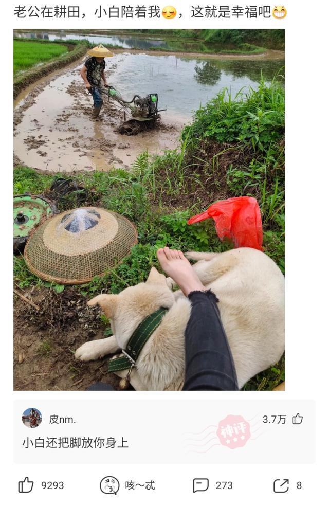 神回复:周末陪一死党去相亲,双方一见面,我和死党都愣住了 神回复:周末陪一死党去相亲,双方一见面,我和死党都愣住了