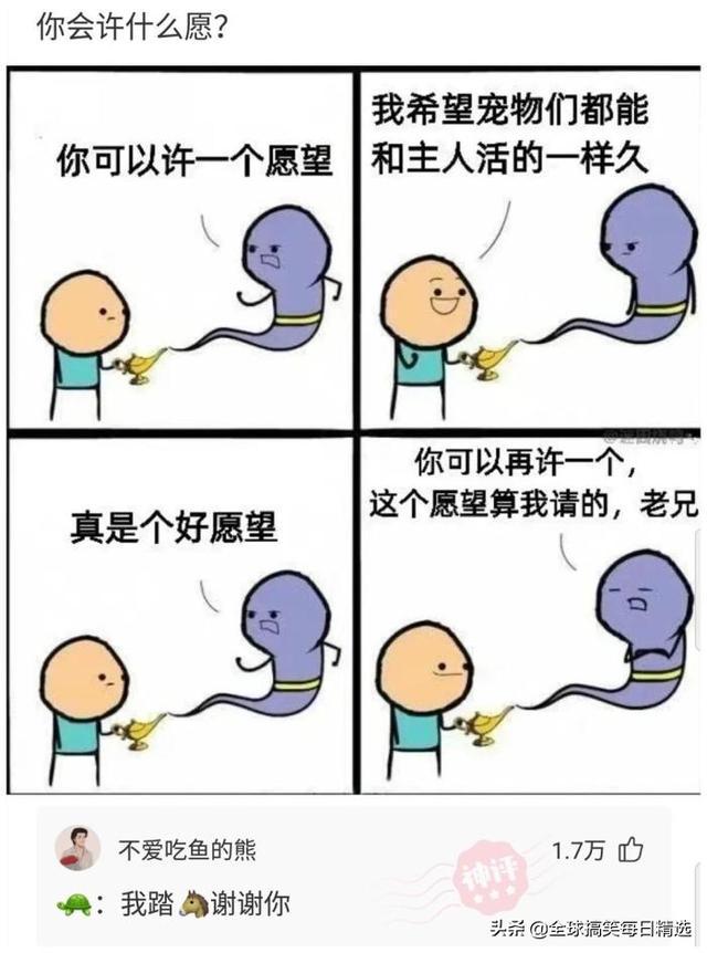 神评论:王大爷还是比较有才华的,难怪刘姐会喜欢你 神评论:王大爷还是比较有才华的,难怪刘姐会喜欢你