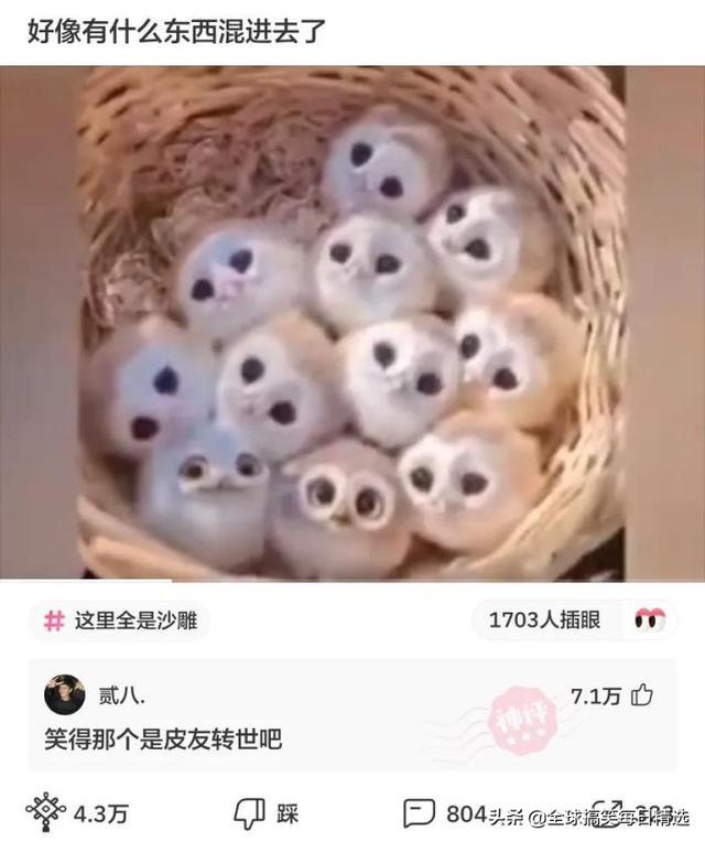神评论:王大爷还是比较有才华的,难怪刘姐会喜欢你 神评论:王大爷还是比较有才华的,难怪刘姐会喜欢你