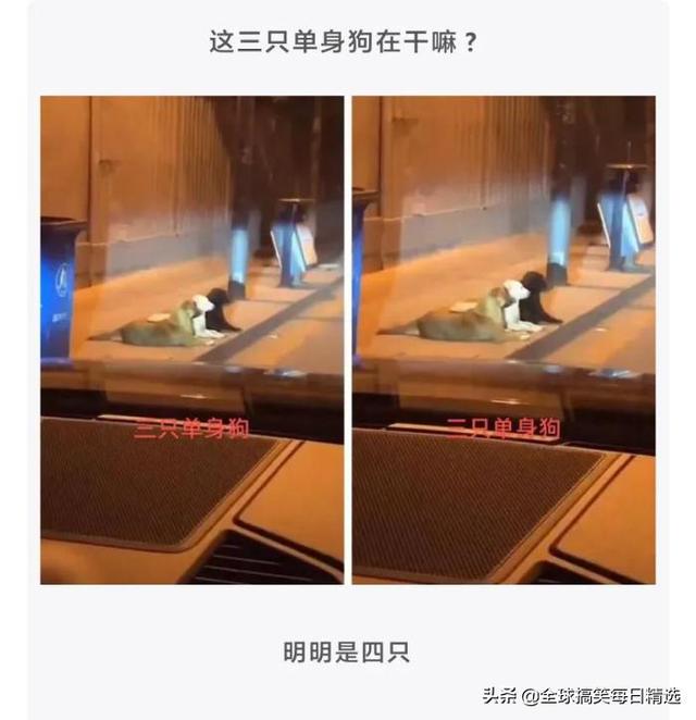 神评论:王大爷还是比较有才华的,难怪刘姐会喜欢你 神评论:王大爷还是比较有才华的,难怪刘姐会喜欢你