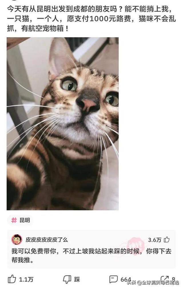 神评论:王大爷还是比较有才华的,难怪刘姐会喜欢你 神评论:王大爷还是比较有才华的,难怪刘姐会喜欢你