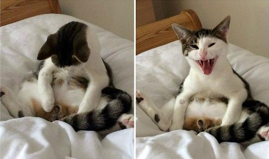 你爸爸其实也,也不是你的亲爹