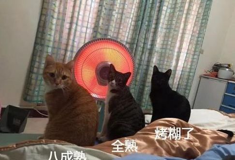 搞笑GIF:这只鬼太厉害,快去布八卦阵 搞笑GIF:这只鬼太厉害,快去布八卦阵