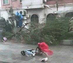 女友这张照片她自己一个人能拍?怎么觉得有点不对劲啊...... 女友这张照片她自己一个人能拍?怎么觉得有点不对劲啊......