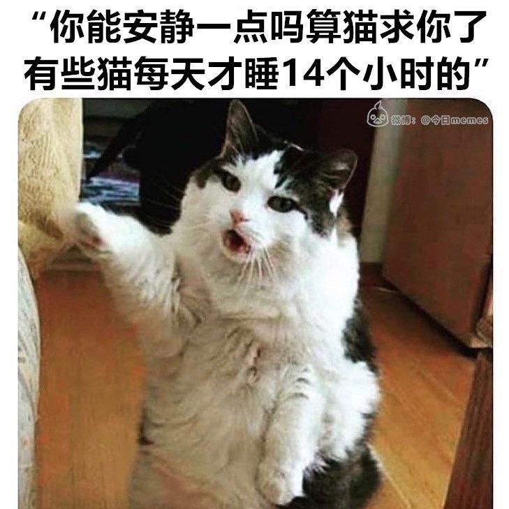 轻松一秒:钓鱼佬永不空军之决战池塘之巅 轻松一秒:钓鱼佬永不空军之决战池塘之巅