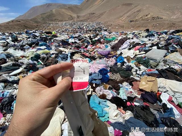 50张趣图让你开启美好的一天 50张趣图让你开启美好的一天