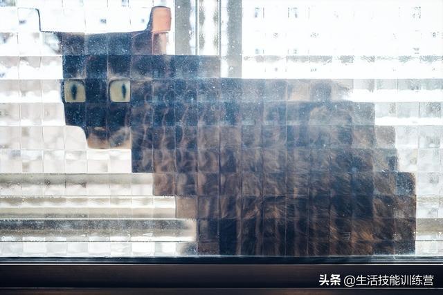 50张趣图让你开启美好的一天 50张趣图让你开启美好的一天