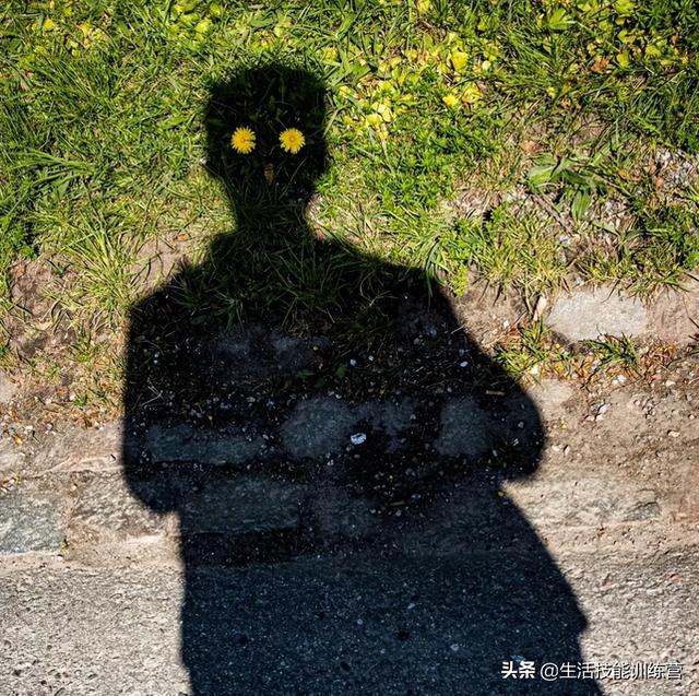 50张趣图让你开启美好的一天 50张趣图让你开启美好的一天