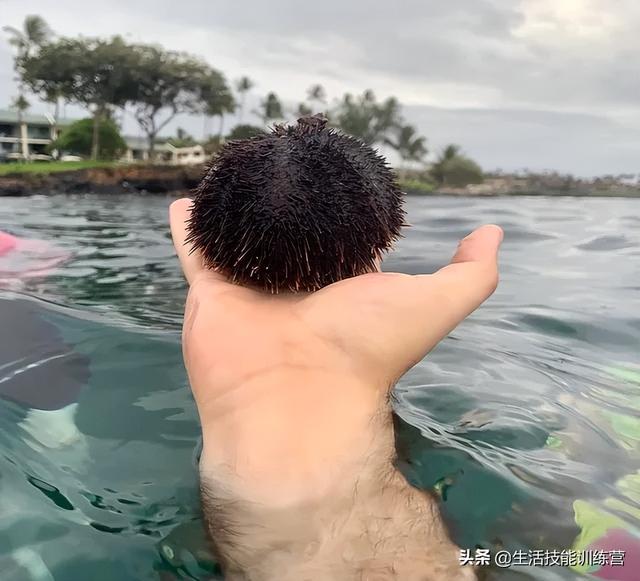 50张趣图让你开启美好的一天 50张趣图让你开启美好的一天