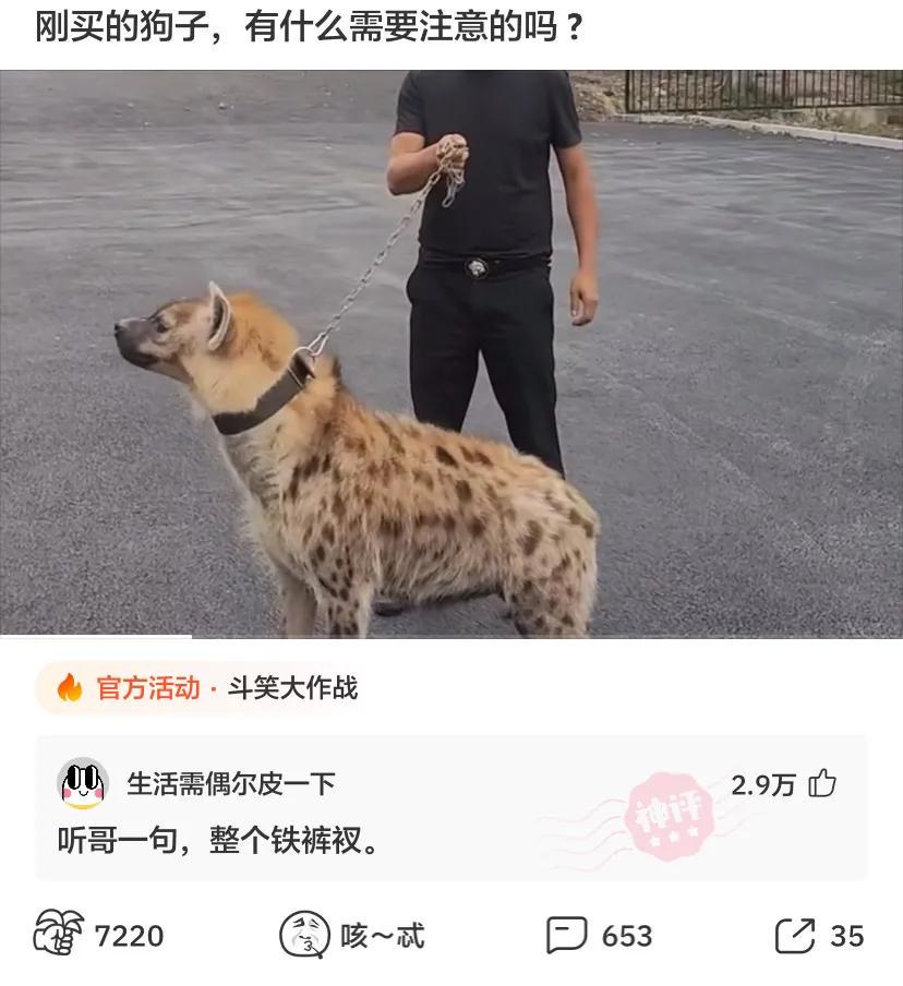 为啥我的枕头是黄的,老婆的枕头却这么白?看到评论懵了,绿得太突然!哈哈哈 为啥我的枕头是黄的,老婆的枕头却这么白?看到评论懵了,绿得太突然!哈哈哈