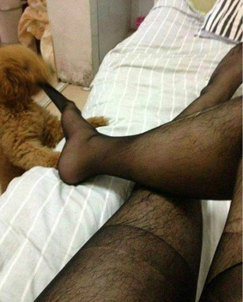 图片恶搞新风尚,外在的,内在的一览无余！