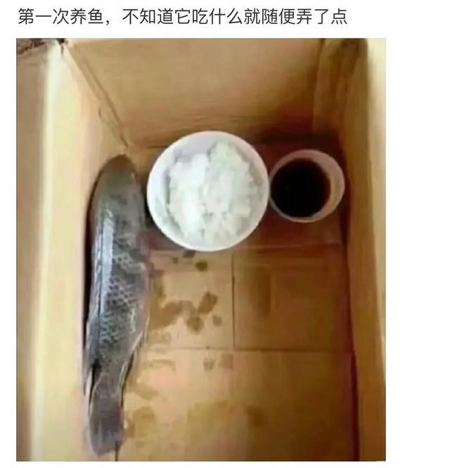 娶班花为妻是种什么体验 娶班花为妻是种什么体验