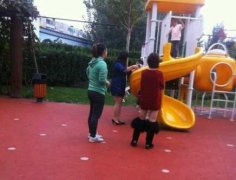 还以为把裤子脱了呢 还以为把裤子脱了呢