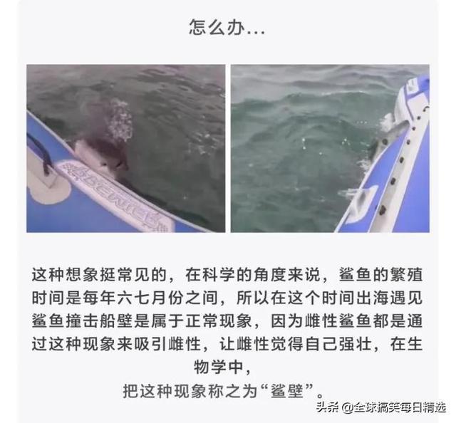 神回复:领导的儿子不会学习那么差吧,他是怎么当上领导的? 神回复:领导的儿子不会学习那么差吧,他是怎么当上领导的?