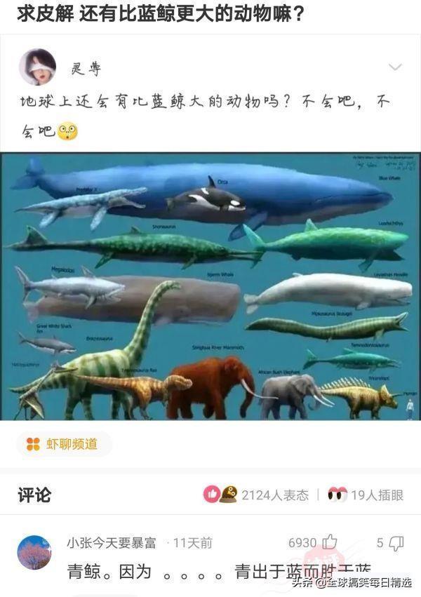 神回复:领导的儿子不会学习那么差吧,他是怎么当上领导的? 神回复:领导的儿子不会学习那么差吧,他是怎么当上领导的?
