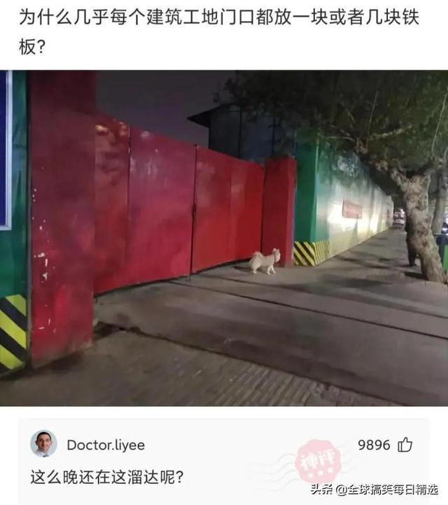 神回复：领导的儿子不会学习那么差吧，他是怎么当上领导的？