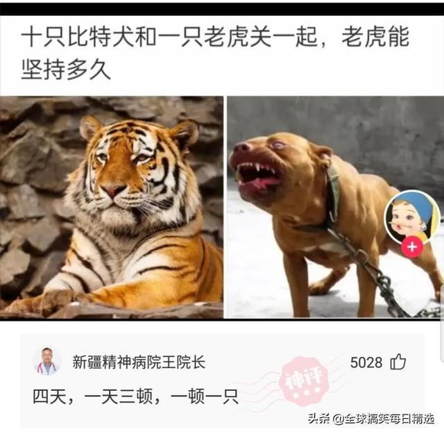 神回复:领导的儿子不会学习那么差吧,他是怎么当上领导的? 神回复:领导的儿子不会学习那么差吧,他是怎么当上领导的?