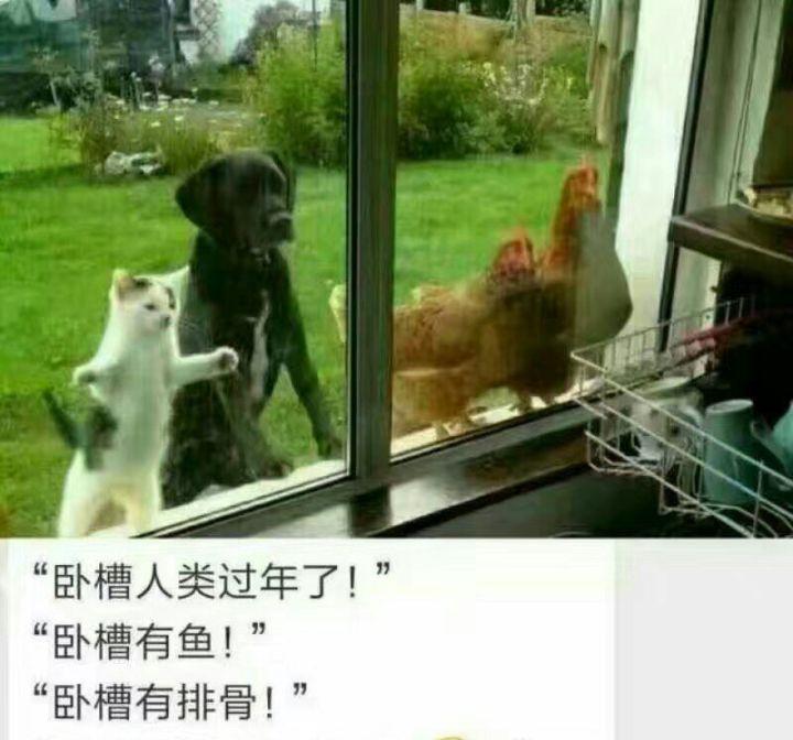 和闺蜜出门刮大风，裙子都不管用了，老公却在一旁笑！哈哈哈