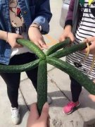 学校操场上玩耍的妹纸们