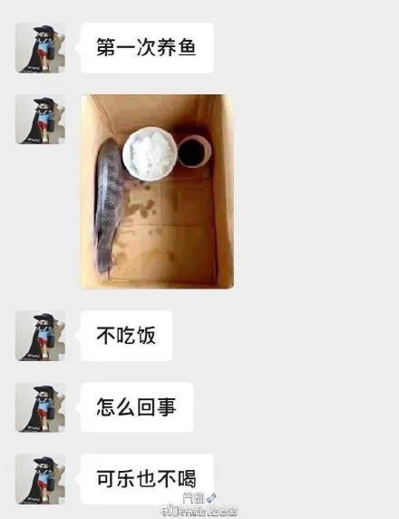 轻松一刻：美女这姿势没问题吗？看上去会很痛