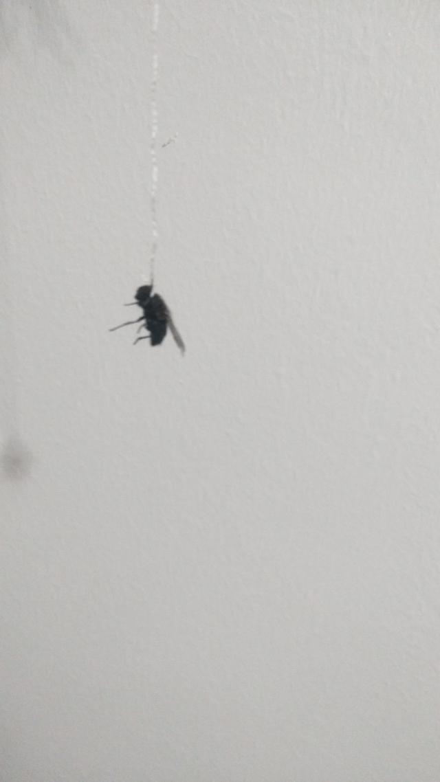 每日一笑:这瓶酒好像还挺咸的呢 每日一笑:这瓶酒好像还挺咸的呢