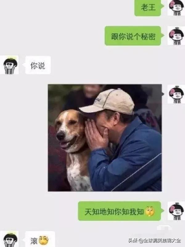 如果我把这块碑每天往外移几米，对面会发现吗？神评绝了