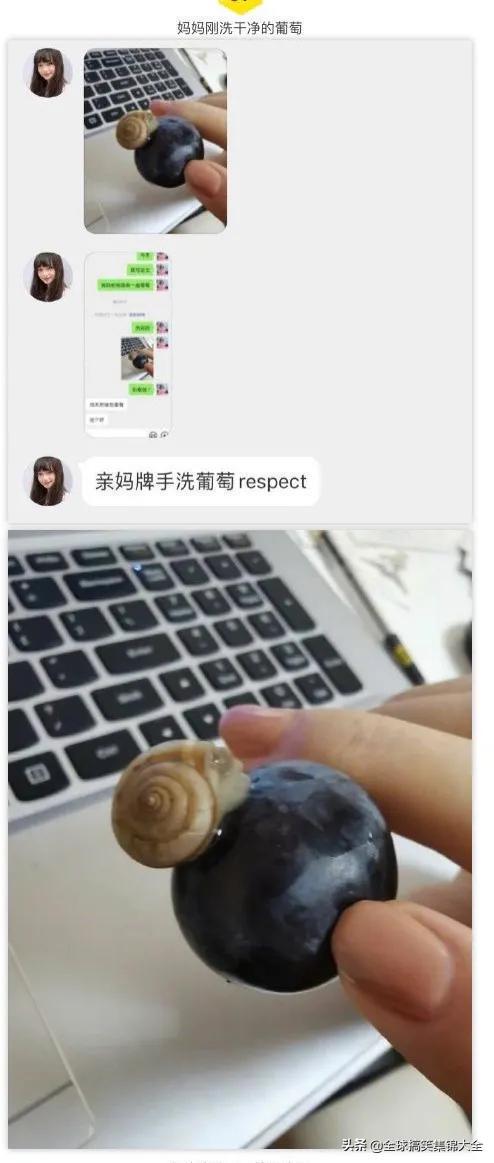 如果我把这块碑每天往外移几米,对面会发现吗?神评绝了 如果我把这块碑每天往外移几米,对面会发现吗?神评绝了