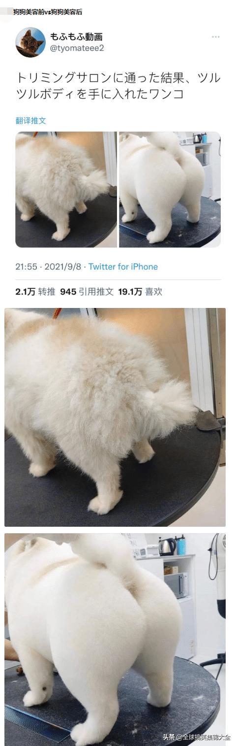 如果我把这块碑每天往外移几米,对面会发现吗?神评绝了 如果我把这块碑每天往外移几米,对面会发现吗?神评绝了