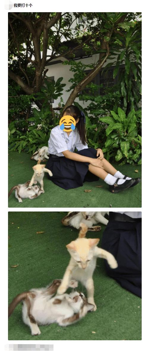 如果我把这块碑每天往外移几米,对面会发现吗?神评绝了 如果我把这块碑每天往外移几米,对面会发现吗?神评绝了