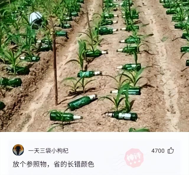 神回复:为了不让油耗子偷柴油,竟然睡在了油箱上 神回复:为了不让油耗子偷柴油,竟然睡在了油箱上