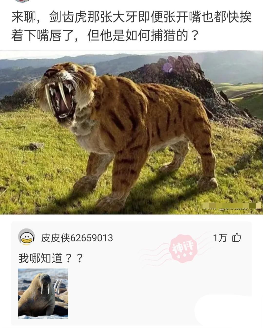 “第一次见到日本天皇的女儿,我怎么感觉在一部日本电影中见过!”哈哈哈哈 “第一次见到日本天皇的女儿,我怎么感觉在一部日本电影中见过!”哈哈哈哈