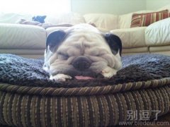 等待的一天，妈妈在哪。