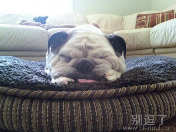 等待的一天,妈妈在哪。 等待的一天,妈妈在哪。