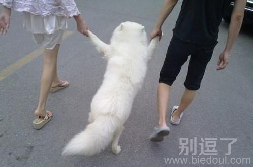只生一个好,生啥都一样。 只生一个好,生啥都一样。