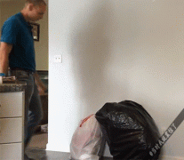 不带这样玩的啊。 不带这样玩的啊。