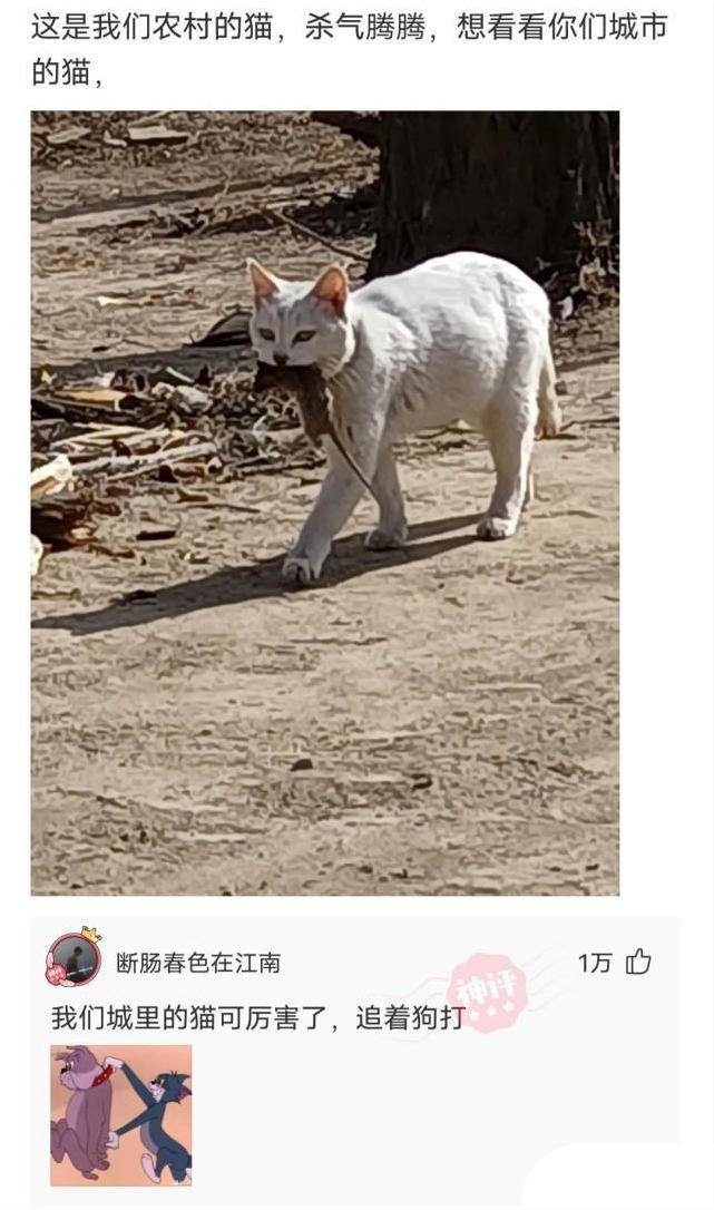 “原来打马赛克也分颜值,对女孩子不友好啊!”哈哈哈颜值真绝了 “原来打马赛克也分颜值,对女孩子不友好啊!”哈哈哈颜值真绝了