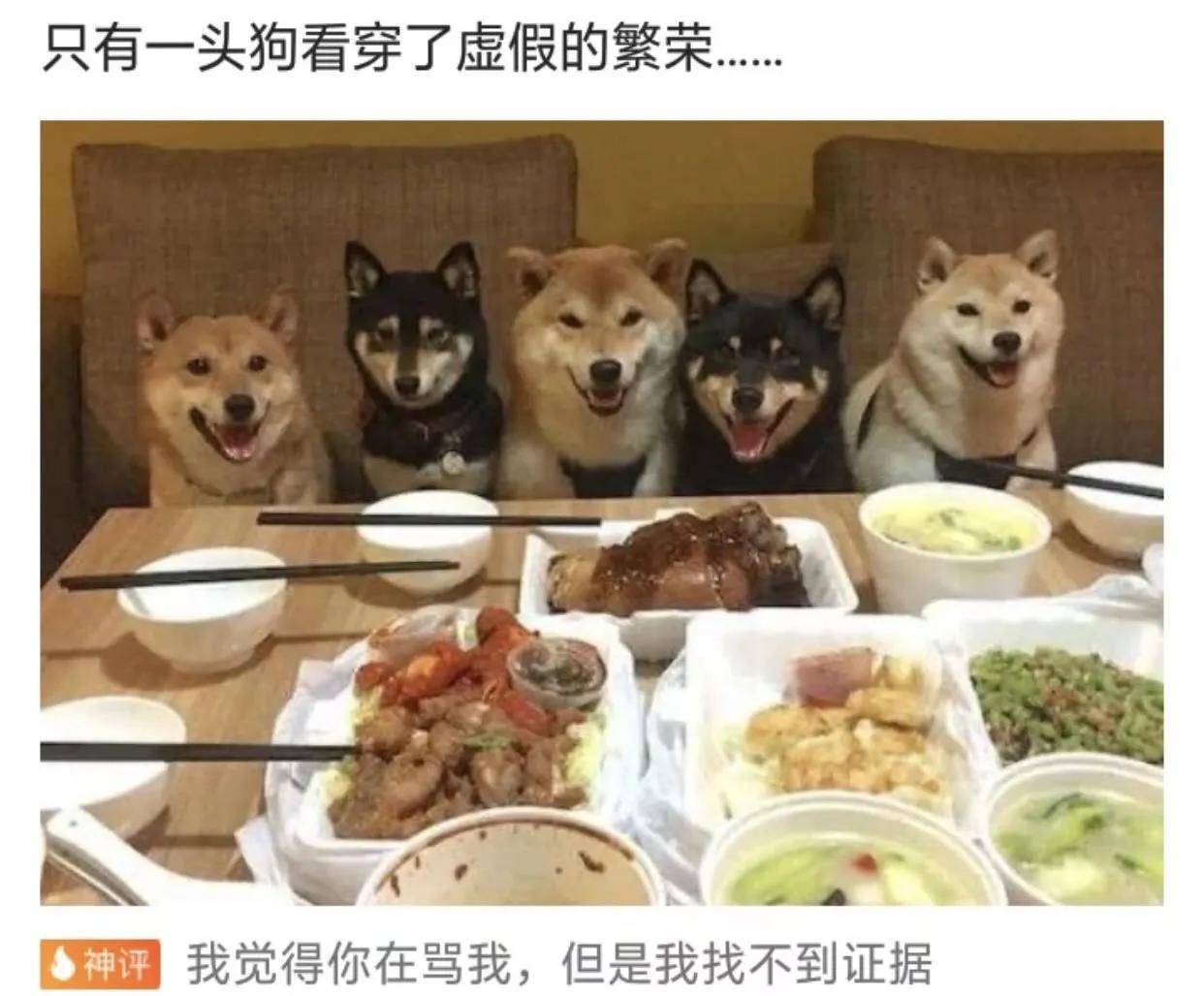 “原来打马赛克也分颜值,对女孩子不友好啊!”哈哈哈颜值真绝了 “原来打马赛克也分颜值,对女孩子不友好啊!”哈哈哈颜值真绝了