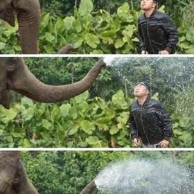 你还差的远了。