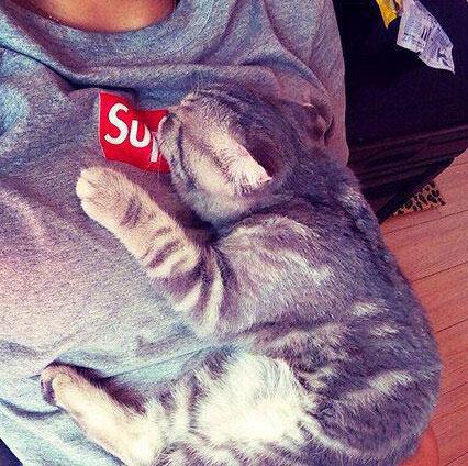 开起来好舒服的样子,我也想试一试! 开起来好舒服的样子,我也想试一试!