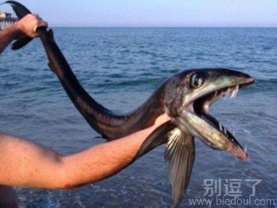 不知道味道怎么样，红烧好吃还是清蒸好吃。