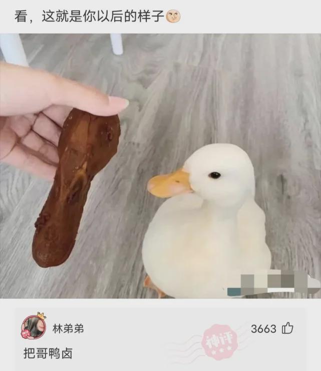 “火车上乘客几千人,为什么卖不掉几十份盒饭?”哈哈哈 “火车上乘客几千人,为什么卖不掉几十份盒饭?”哈哈哈