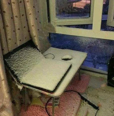 路上看见一只乌龟,回家养着当宠物怎么样,可是不敢去抓啊哈哈哈 路上看见一只乌龟,回家养着当宠物怎么样,可是不敢去抓啊哈哈哈