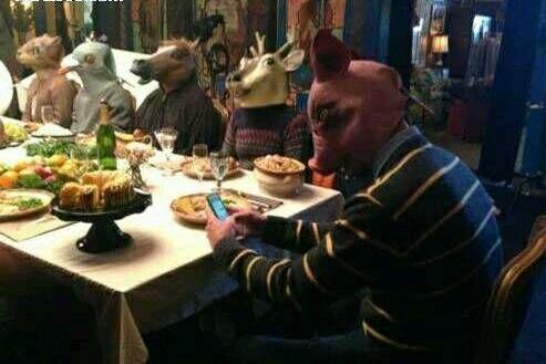 动物聚餐 动物聚餐