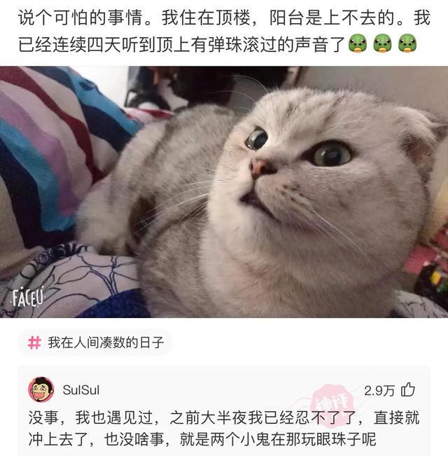 女婿错把信息发给了岳母,岳母回复厉害了,网友:惹不起哈哈哈哈 女婿错把信息发给了岳母,岳母回复厉害了,网友:惹不起哈哈哈哈