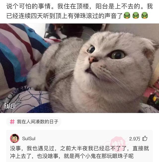 女婿错把信息发给了岳母，岳母回复厉害了，网友：惹不起哈哈哈哈