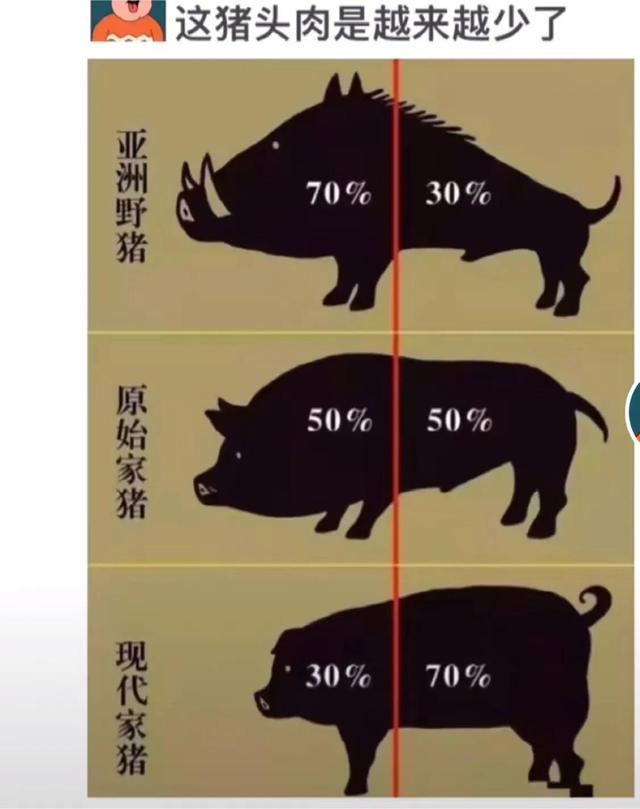 女婿错把信息发给了岳母,岳母回复厉害了,网友:惹不起哈哈哈哈 女婿错把信息发给了岳母,岳母回复厉害了,网友:惹不起哈哈哈哈