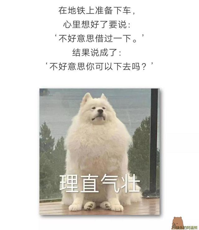 搞笑图片幽默段子笑话：雨过了，天晴了，你觉得你又行了