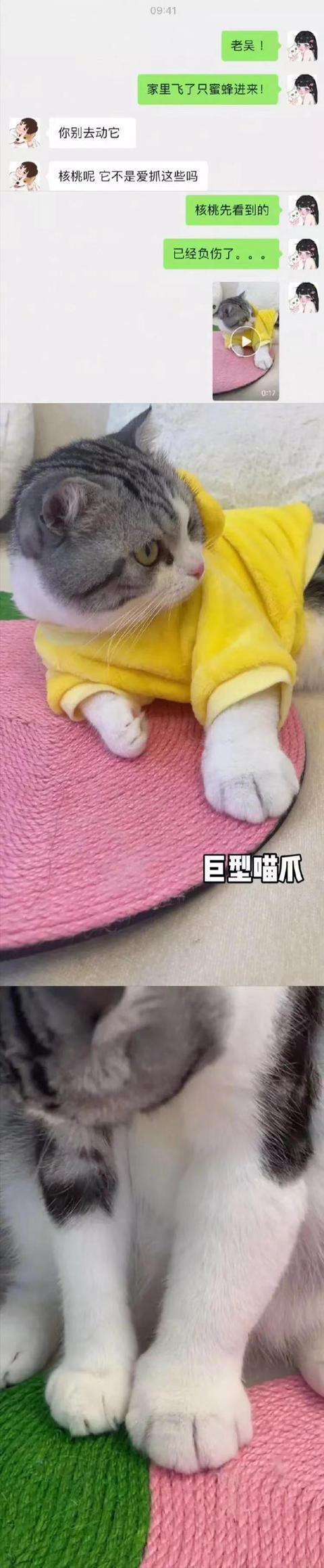 搞笑图片幽默段子笑话：雨过了，天晴了，你觉得你又行了